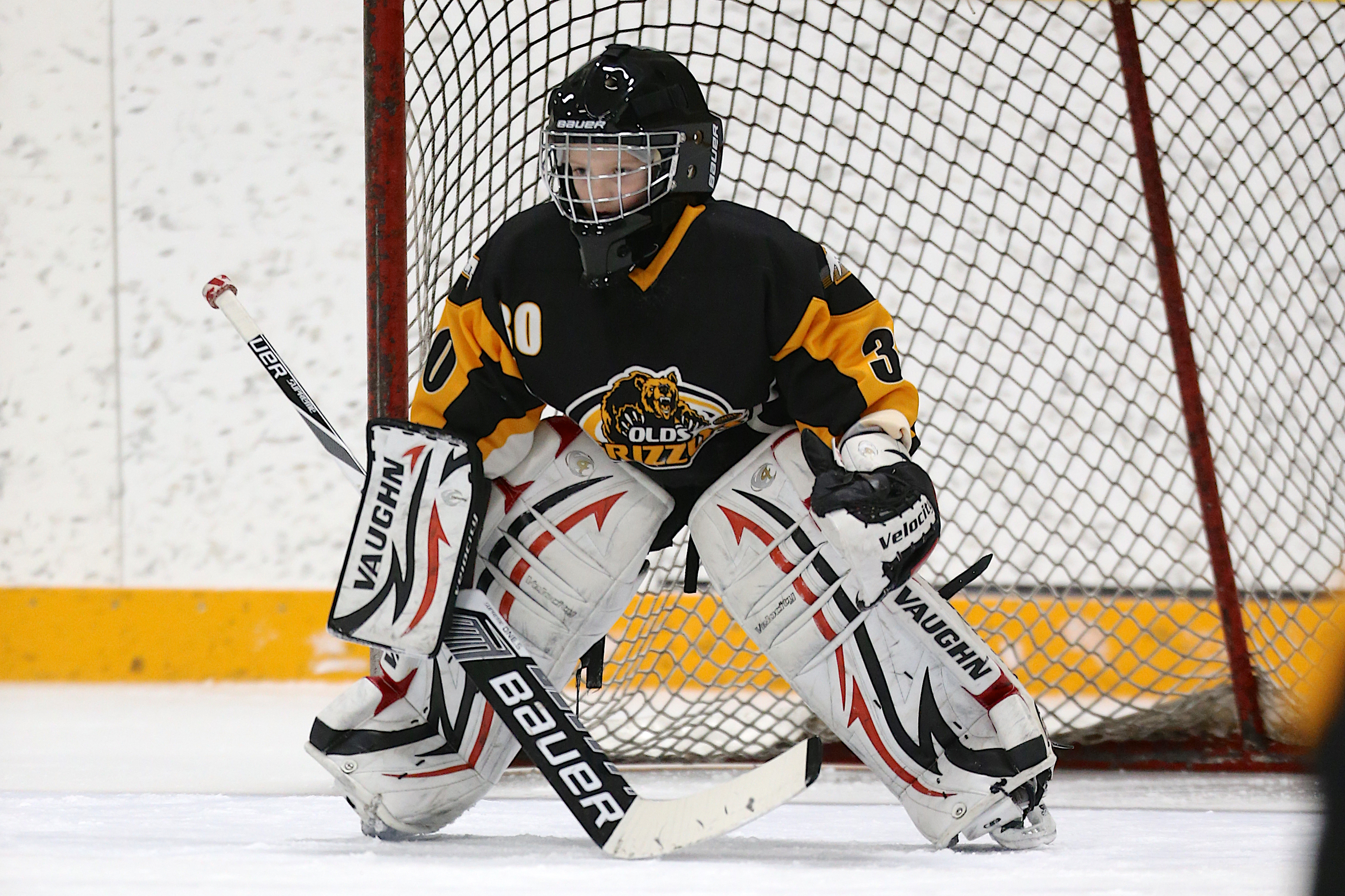 Novice Goalie - Landscape